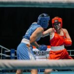 новини боксу