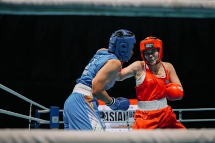 новини боксу