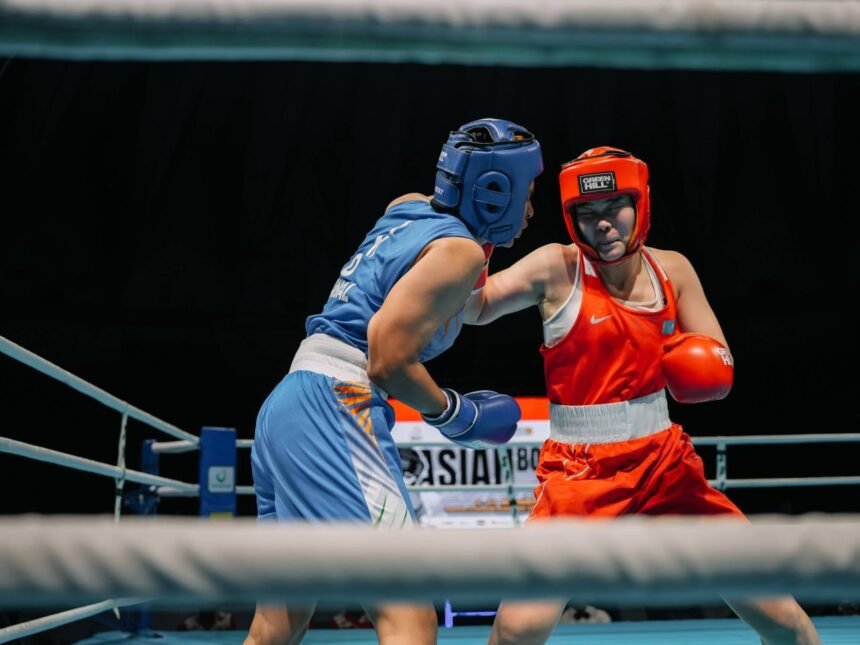 новини боксу