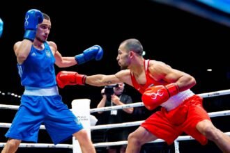 бокс новини